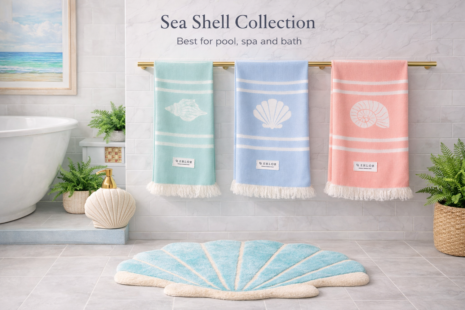 Sea Shell Collection